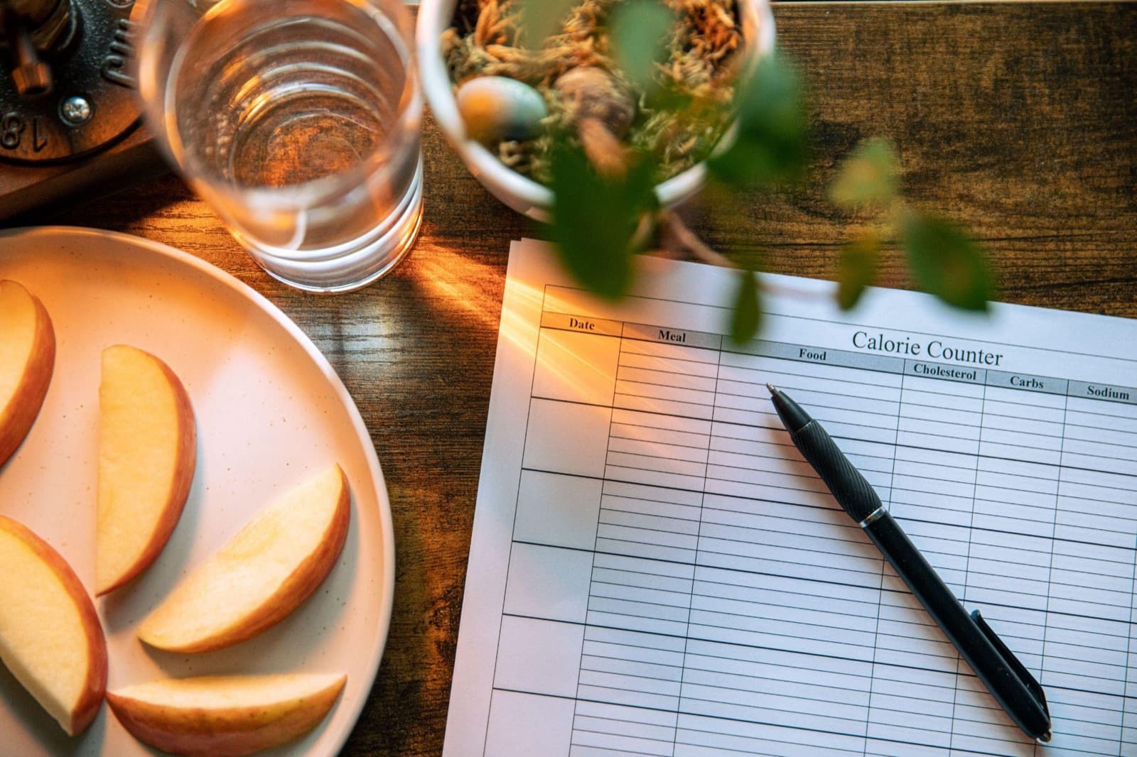 Plan de alimentación personalizado